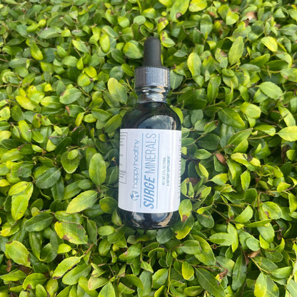 Surge Minerals