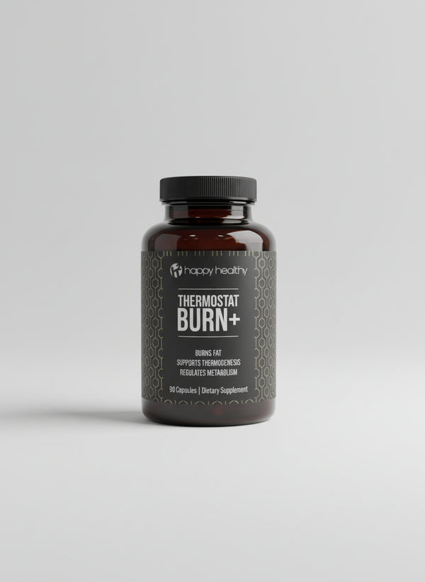 H2 Thermostat Burn+